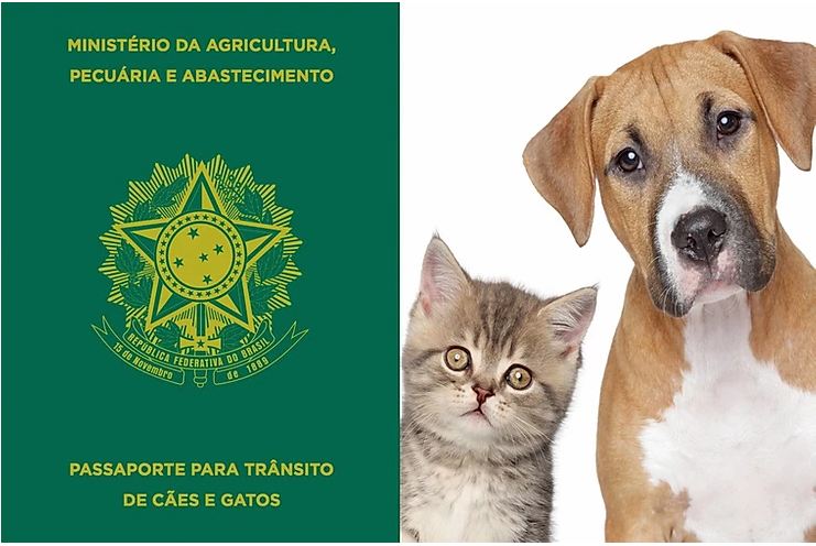 Passaporte de cães e gato