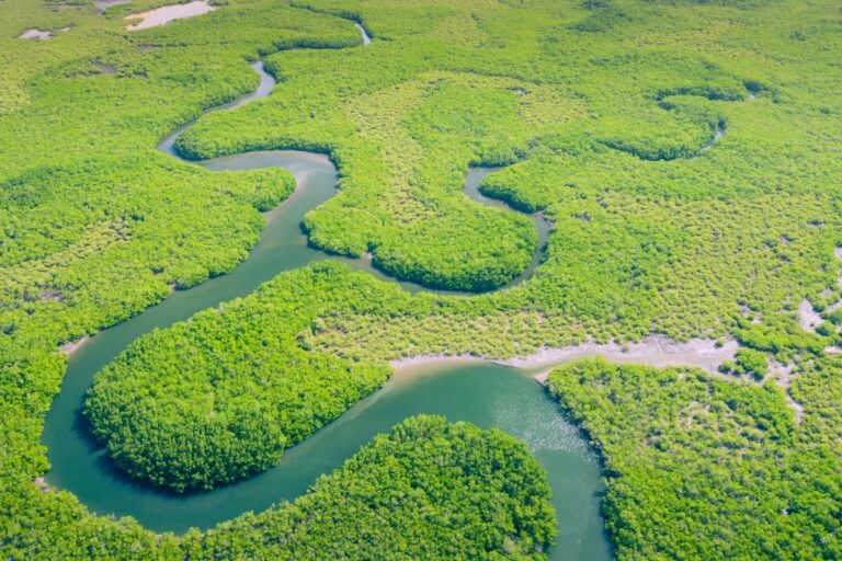 Viagem para Amazônia: 5 dicas para montar o seu roteiro