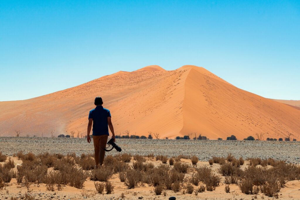 Destinos diferentes: 5 desertos no mundo para você conhecer